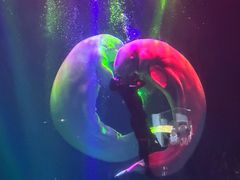 -芜湖新华联大白鲸海洋公园