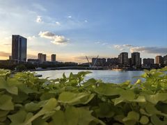 -映月湖中央公园