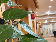 -老雒阳面馆·水席(洛宁高速路口店)