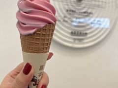 -喜茶(迪士尼小镇DP店)