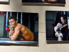 -格斗兄弟搏击健身训练馆(望京店)