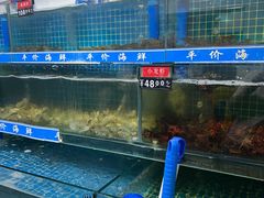 -渔家乐小海鲜(皇姑店)