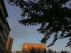 -辽宁大学(崇山校区)