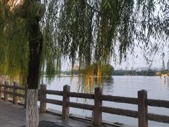 -济南大明湖景区