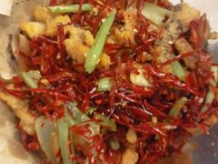 -普天和酒楼·新津菜·烤鸭(天津之眼店)