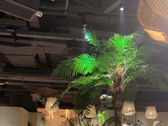 -大头椰·椰子鸡火锅(南宁万象城店)