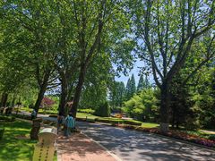 -棒棰岛宾馆景区