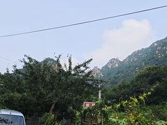 -大岭沟猕猴桃谷风景区