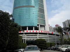 -深圳特区报业大厦
