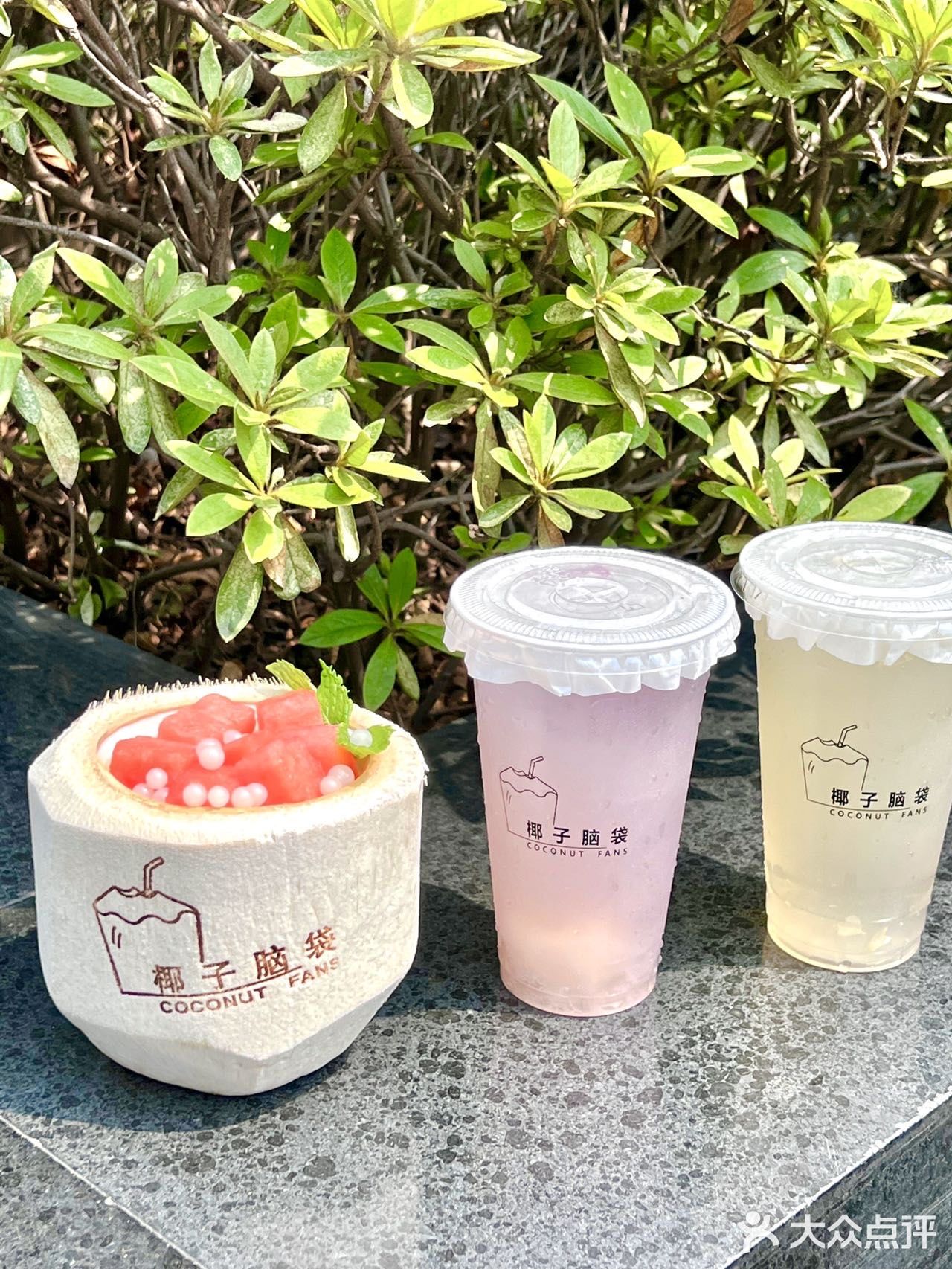 南京首家椰子专门店🥥一秒穿越三亚海边🌴