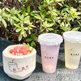 南京首家椰子专门店🥥一秒穿越三亚海边🌴