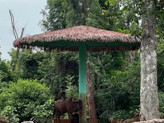 -海南热带野生动植物园