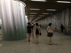 -同济大学附属口腔医院