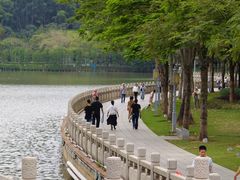 -顺峰山公园