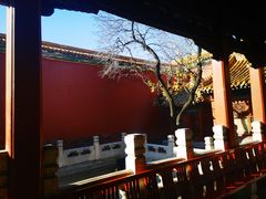 -故宫博物院(故宫)
