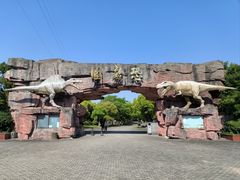 -上海海湾国家森林公园