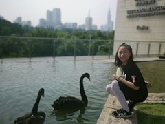 -行者书屋大堂吧 ·下午茶(南京圣和府邸酒店)