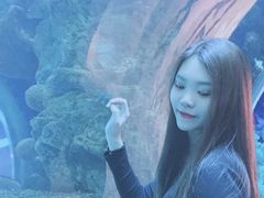 -乐从天佑城海洋馆