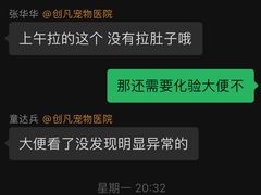 -创凡宠物医院·骨专科  猫科中心(西乡分院)