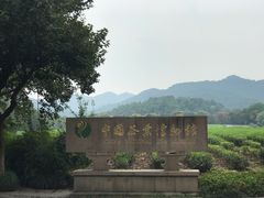 -中国茶叶博物馆(双峰馆区)