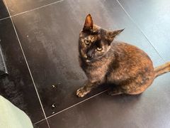 -EATALIA意塔利意式餐厅(鼓楼店)