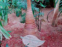 -龙达温泉生态城