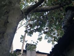 -Vinup薇葡·葡萄酒自助Bar(江宁路店)