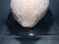 -天津自然博物馆