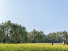 -北坞公园
