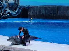 -华夏文旅海洋公园