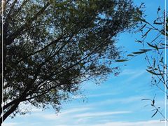 -野鸭湖国家湿地公园