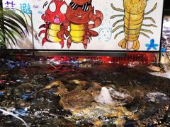 -79号渔船海鲜饭店(华强北店)