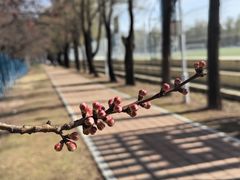 -吉林大学(前卫南区)