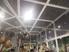-苏州海洋馆