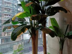 -阳光岛·海鲜盛宴(银泰中心in99店)