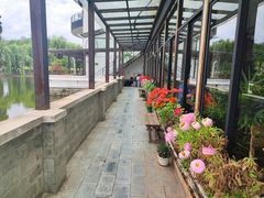 -乡村小榭饭店