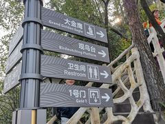 -大金鹰园