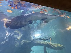 -华夏文旅西安度假区