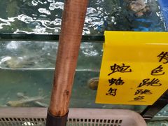 -蛇蟠岛