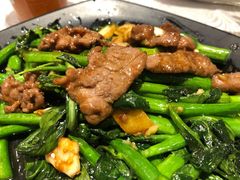 芥兰炒牛肉-粤·向群饭店(龙津东路总店)