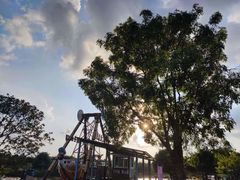 -森波拉奇妙世界