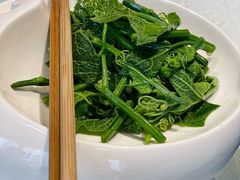 橄榄油拌脆尖-锦庐道地川菜(来福士店)