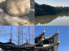-江心屿景区