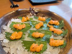 -月龍吟(朝龙汇店)