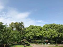 -上海虹桥迎宾馆