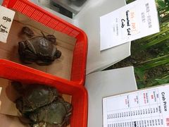 -龙海鲜螃蟹王(宏茂桥店)