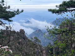 -黄山风景区
