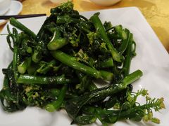 姜汁炒北京芥兰-海鲜街菜馆(海珠南路店)