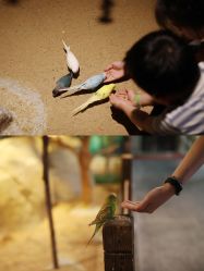 -酷嗒动物文化乐园(cutezoo西溪乐天城店)