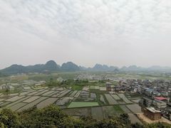 -会仙湿地